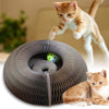 Chat jouant avec le Griffoir Magique Chat rond en carton ondulé avec balle intégrée.