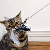 Chat jouant avec une canne à plumes noir et blanc – Jouet pour Chat Canne Oiseau avec plumes naturelles.