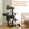Arbre à chat avec hamac parfait pour plusieurs chats, charge maximale de 22 kg.