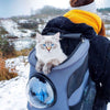 Chat aux yeux bleus dans un sac à dos pour chat gris en pleine nature.