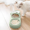 Chat blanc devant une gamelle pour chat surélevée verte – 3 compartiments remplis