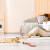 Chat intrigué par un jouet serpent pour chat dans un salon moderne