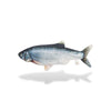 Jeu poisson pour chat réaliste sur fond blanc.