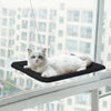 Hamac de Fenêtre Pour Chat en noir avec un chat blanc installé confortablement.