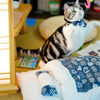 Chat jouant près de son Sac De Couchage Pour Chat bleu et blanc.