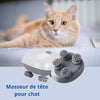 Chat roux détendu à côté d’un masseur pour chat avec têtes rotatives visibles.
