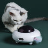 Chat observant un jouet automatique pour chat avec plumes rotatives.