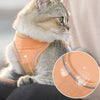 Chat portant un harnais pour chat orange, gros plan sur le tissu respirant.