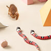 Chat sur le point d’attaquer deux jouets serpents pour chat posés au sol.