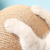 Zoom sur les pattes d’un chat accrochées à la corde de sisal du griffoir.