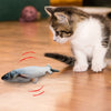 Chaton intrigué par un jeu poisson pour chat qui frétille.