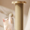 Chaton qui joue avec une balle suspendue en sisal sur une tour griffoir.