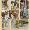 Mosaïque de chats jouant avec leur tour griffoir en sisal dans différents intérieurs.