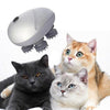 Chats curieux regardant un masseur pour chat en suspension dans l'air.