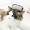 Brosse Pour Poils De Chat en action sur un chat ragdoll, collecte visible des poils sur la tête.