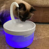 Chat buvant dans une fontaine à eau pour chat avec lumière LED et système de filtration actif.