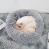 Panier Pour Chat gris clair avec un chat crème endormi en position recroquevillée.