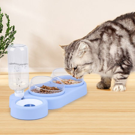 Chat mangeant dans une gamelle pour chat surélevée bleue