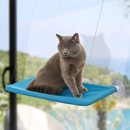 Hamac de Fenêtre Pour Chat en bleu turquoise avec un chat gris assis en équilibre.