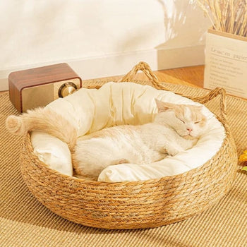 Chat blanc endormi sur un coussin crème dans un panier osier pour chat.