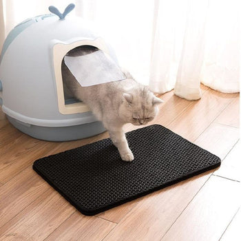 Tapis de Litière pour Chat - Chaton blanc sortant d’une maison de toilette posée sur un MiaouMat.