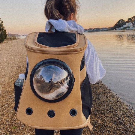 Sac à dos pour chat beige vu de dos sur une promenade au bord de l’eau.