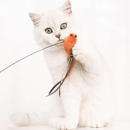 Chat blanc tenant un oiseau orange en peluche – Jouet pour Chat Canne Oiseau avec proie réaliste.
