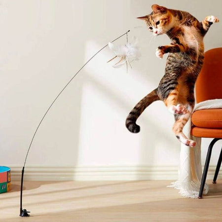 Chat bondissant pour attraper un jouet suspendu – Jouet pour Chat Canne Oiseau monté sur ventouse.