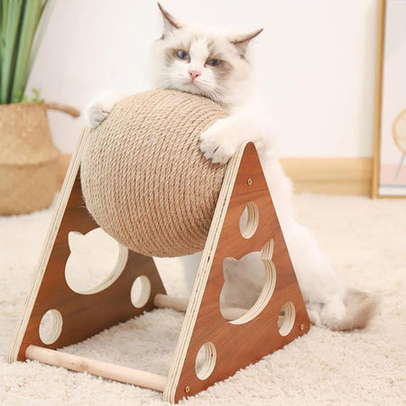 Chat câlinant une boule de sisal montée sur griffoir en bois.