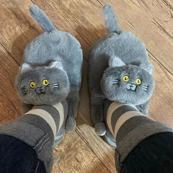 Pantoufles chat grises portées sur des pieds avec chaussettes rayées.