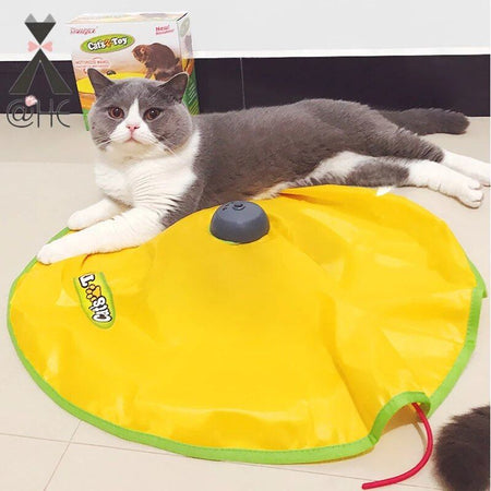 Chat couché sur un Tapis De Jeu Pour Chat en attendant l'action.