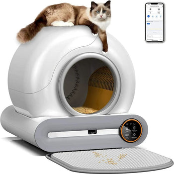 Litière Chat Autonettoyante connectée avec chat posé dessus et application mobile affichée à l’écran.