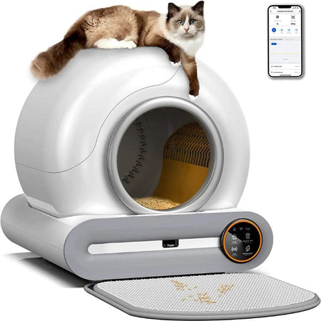 Litière Chat Autonettoyante connectée avec chat posé dessus et application mobile affichée à l’écran.