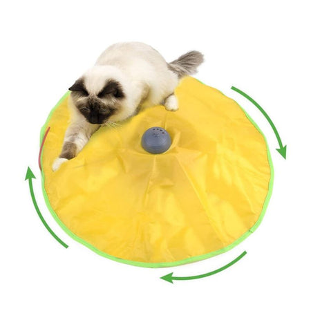 Chat en train de chasser la plume sous le Tapis De Jeu Pour Chat.