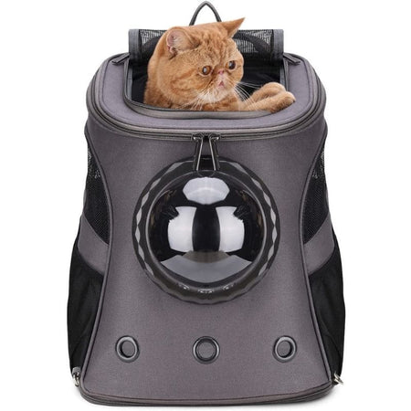 Chat roux dans un sac à dos pour chat noir avec ouverture supérieure.