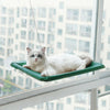 Hamac de Fenêtre Pour Chat en vert foncé fixé à la vitre avec un chat blanc.