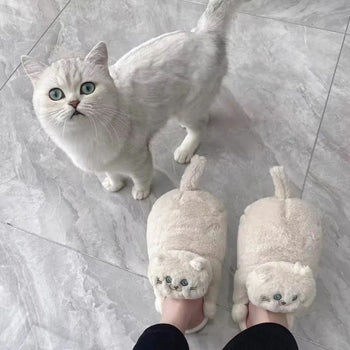 Pantoufles chat beiges portées devant un chat blanc aux yeux bleus.