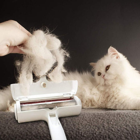 Gros plan sur le Rouleau Poils De Chat retirant une grande quantité de poils de chat.