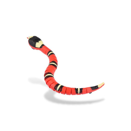 Vue isolée du jouet serpent pour chat en plastique articulé rouge et noir.