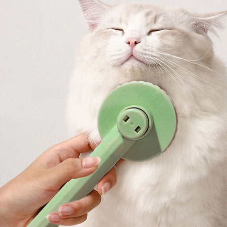 Brosse pour chat poil long verte procurant un massage relaxant au chat.