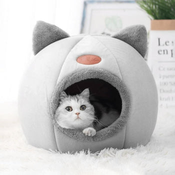Chat qui observe depuis l'entrée de la Niche Chat Intérieur Igloo Chat sur tapis blanc.