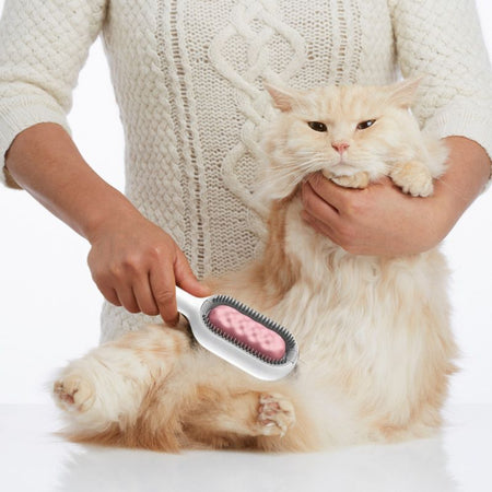 Brosse Pour Poils De Chat utilisée pour enlever les poils morts sur un chat à poils longs.