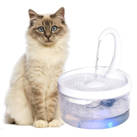 Fontaine à eau pour chat au design arrondi avec un chat assis à côté de la fontaine.