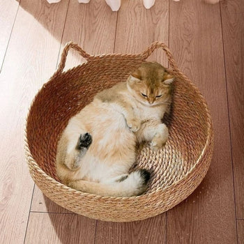 Chat beige couché dans un panier osier pour chat sur un sol en bois clair.