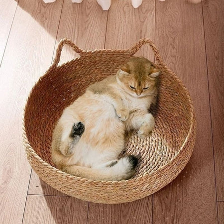 Chat beige couché dans un panier osier pour chat sur un sol en bois clair.