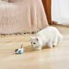 Chat blanc explorant le Jouet Souris pour chat TurboMouse, moment d’amusement interactif.