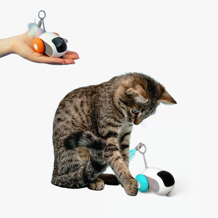Chat tigré curieux face au TurboMouse bleu, jouet souris pour chat aux roues lumineuses.