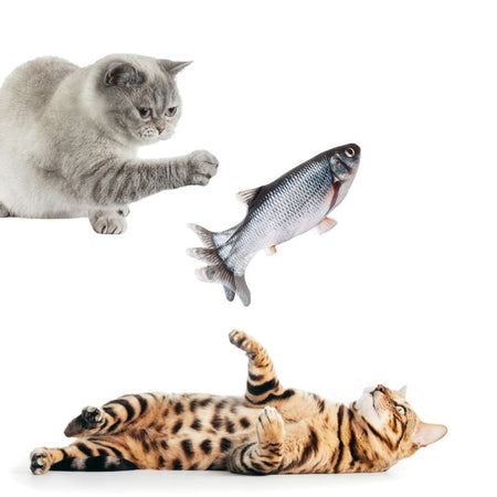 Chats jouant avec un jouet poisson pour chat flottant en l’air.