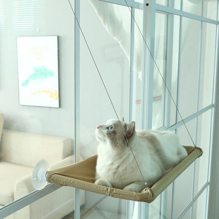 Hamac de Fenêtre Pour Chat couleur sable avec un chat beige regardant vers le haut.