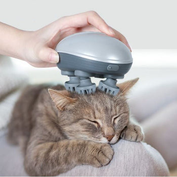 Chat allongé recevant un massage relaxant avec un masseur pour chat.